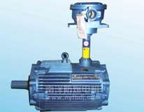 YBFn132-225���ר�ø����������첽�綯��