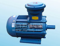 YB2-W��TH��WTHϵ�и����������첽�綯��